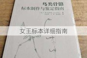 女王标本详细指南