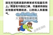 天火指南图解指南