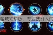 魔域袖珍版：专业技能入门